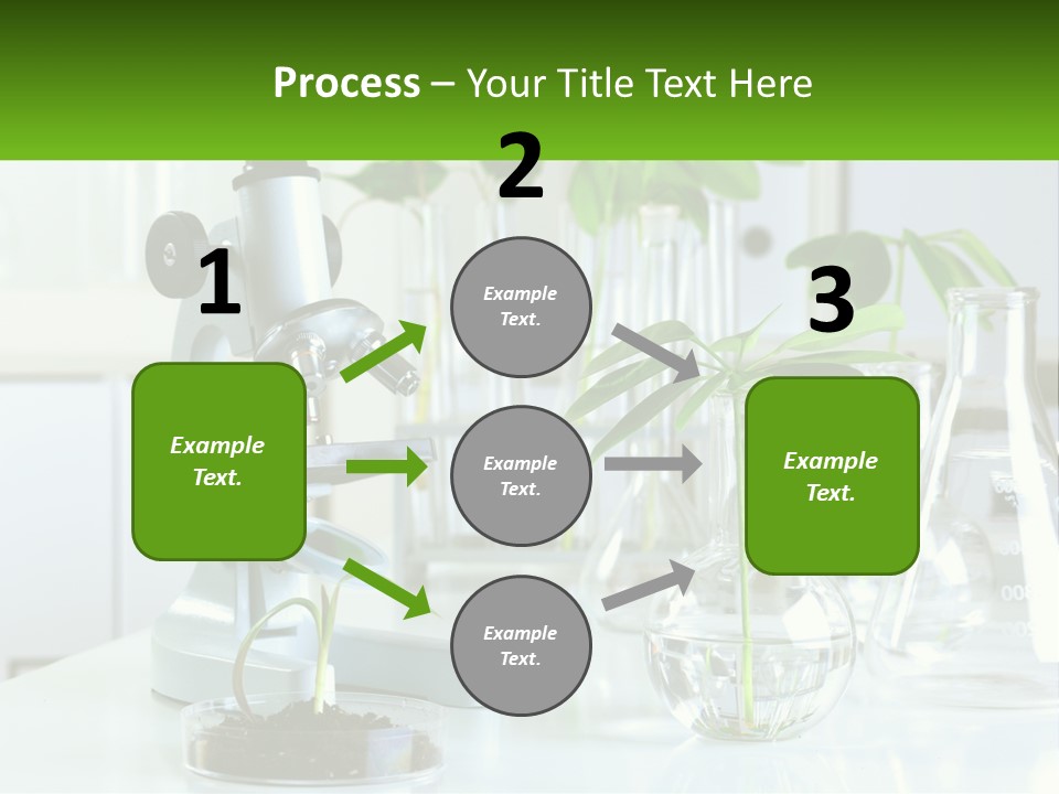A Microscope And Some Plants On A Table PowerPoint Template