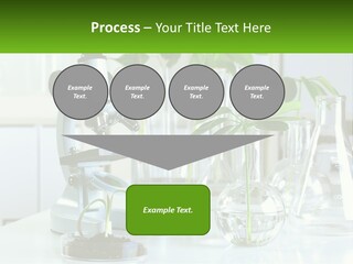 A Microscope And Some Plants On A Table PowerPoint Template