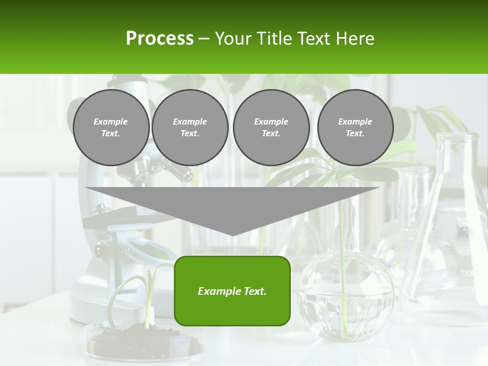 A Microscope And Some Plants On A Table PowerPoint Template