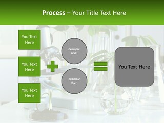 A Microscope And Some Plants On A Table PowerPoint Template