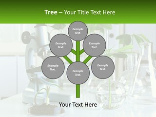 A Microscope And Some Plants On A Table PowerPoint Template