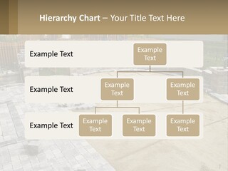 A Backyard With A Slide And A Playground In The Background PowerPoint Template