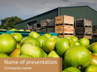 A Large Pile Of Green Apples In Front Of A Building PowerPoint Template