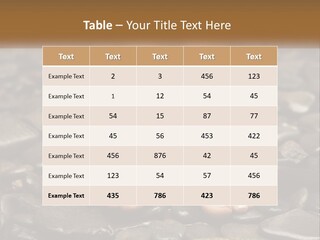 A Woman's Bare Feet On Rocks With A Name Plate PowerPoint Template