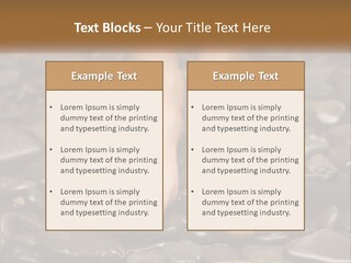 A Woman's Bare Feet On Rocks With A Name Plate PowerPoint Template