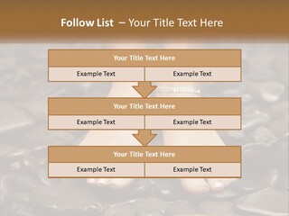 A Woman's Bare Feet On Rocks With A Name Plate PowerPoint Template