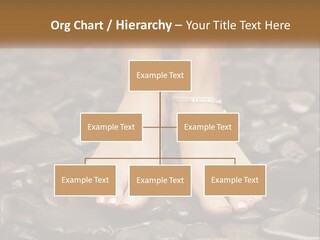 A Woman's Bare Feet On Rocks With A Name Plate PowerPoint Template