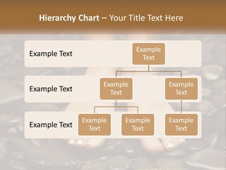 A Woman's Bare Feet On Rocks With A Name Plate PowerPoint Template