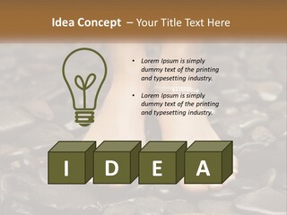 A Woman's Bare Feet On Rocks With A Name Plate PowerPoint Template