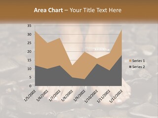 A Woman's Bare Feet On Rocks With A Name Plate PowerPoint Template