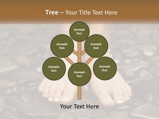 A Woman's Bare Feet On Rocks With A Name Plate PowerPoint Template