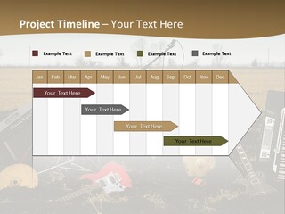 A Musical Instrument In The Middle Of A Field PowerPoint Template