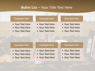 A Musical Instrument In The Middle Of A Field PowerPoint Template