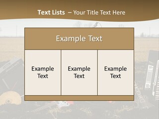 A Musical Instrument In The Middle Of A Field PowerPoint Template