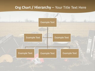 A Musical Instrument In The Middle Of A Field PowerPoint Template