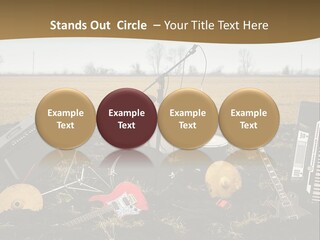 A Musical Instrument In The Middle Of A Field PowerPoint Template