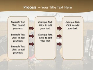 A Musical Instrument In The Middle Of A Field PowerPoint Template