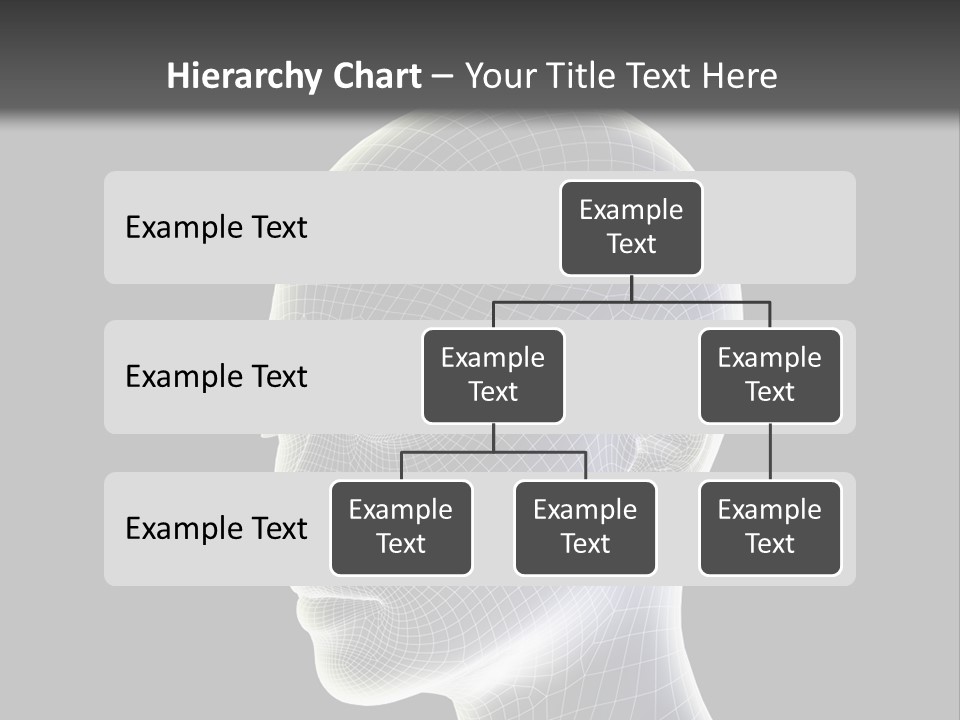 A 3D Image Of A Human Head With A Black Background PowerPoint Template