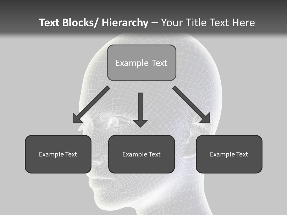 A 3D Image Of A Human Head With A Black Background PowerPoint Template