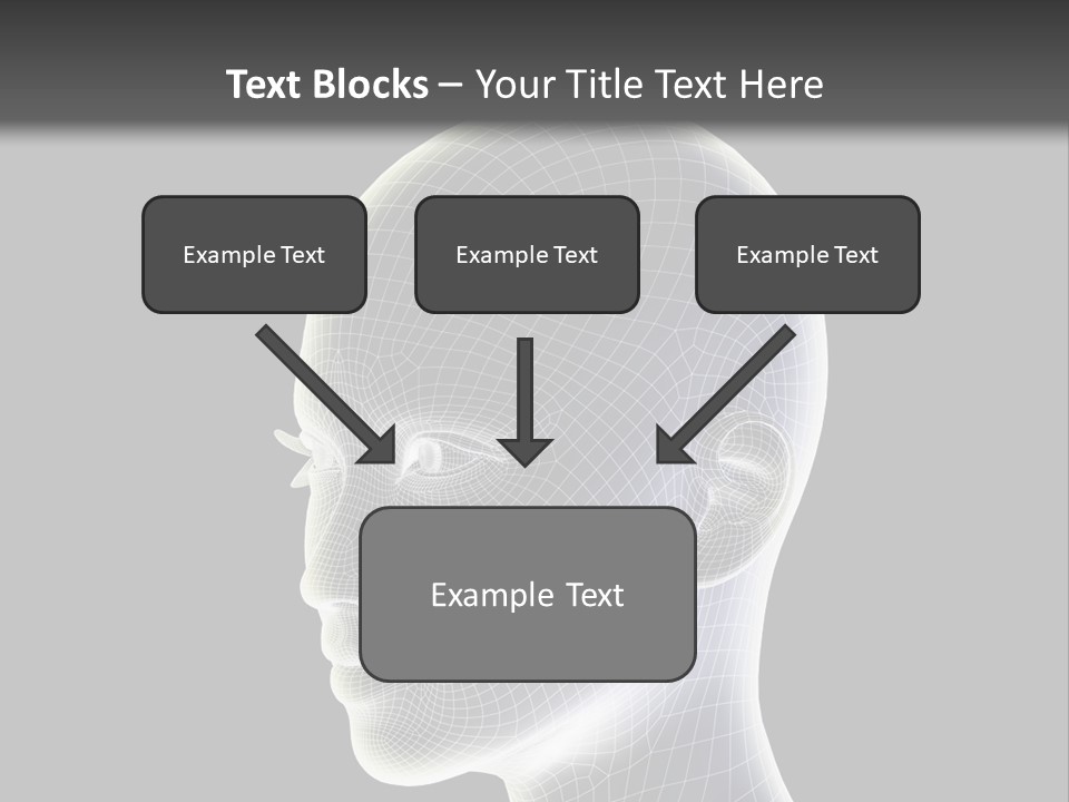 A 3D Image Of A Human Head With A Black Background PowerPoint Template
