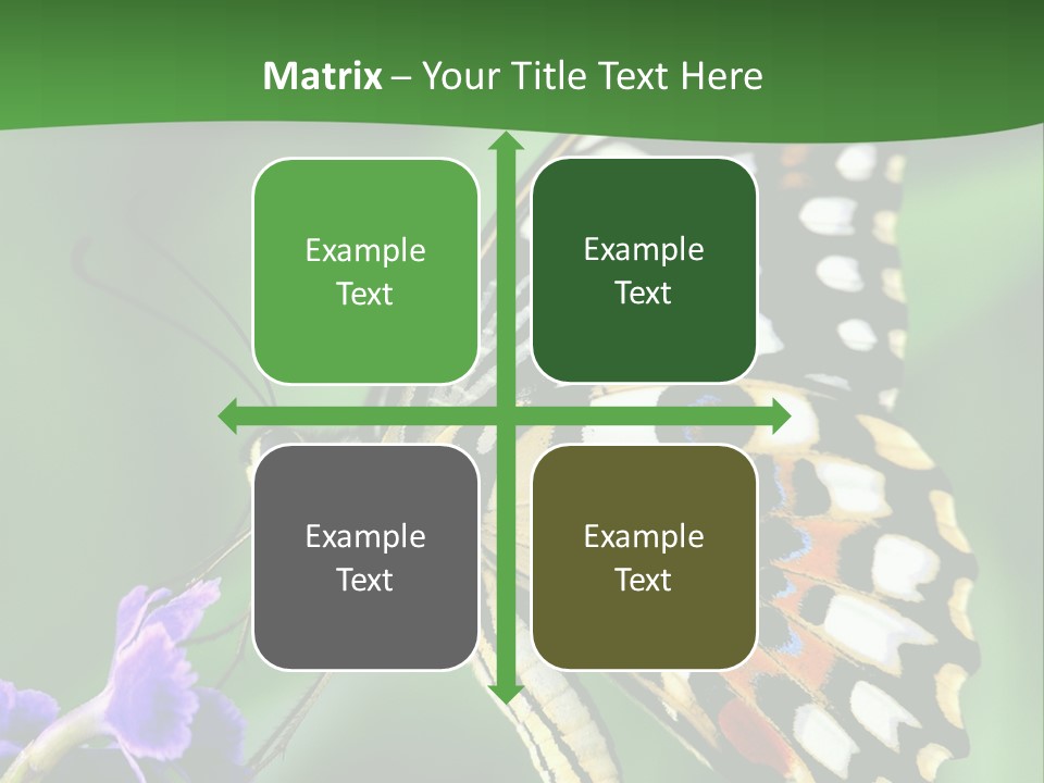 A Butterfly Sitting On Top Of A Purple Flower PowerPoint Template