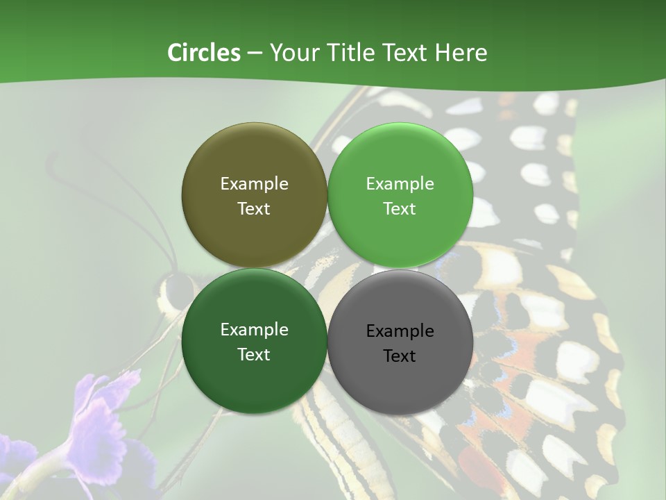 A Butterfly Sitting On Top Of A Purple Flower PowerPoint Template