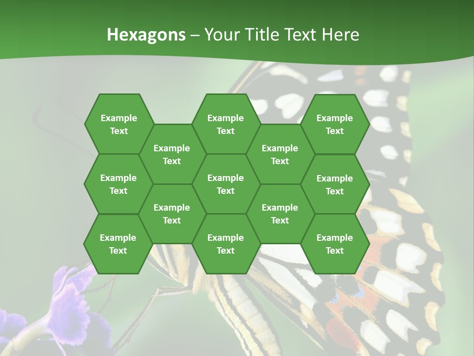 A Butterfly Sitting On Top Of A Purple Flower PowerPoint Template