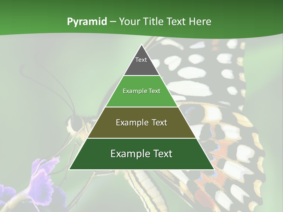 A Butterfly Sitting On Top Of A Purple Flower PowerPoint Template