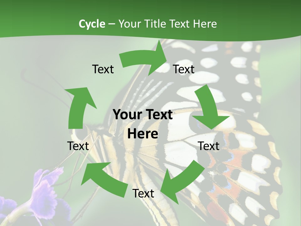 A Butterfly Sitting On Top Of A Purple Flower PowerPoint Template