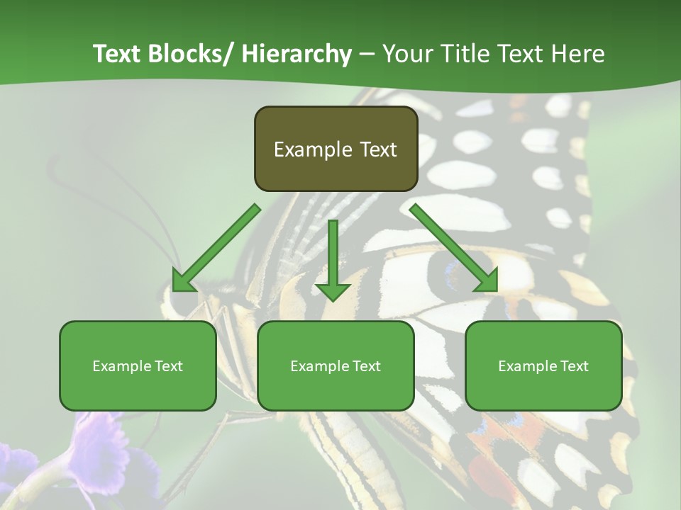 A Butterfly Sitting On Top Of A Purple Flower PowerPoint Template