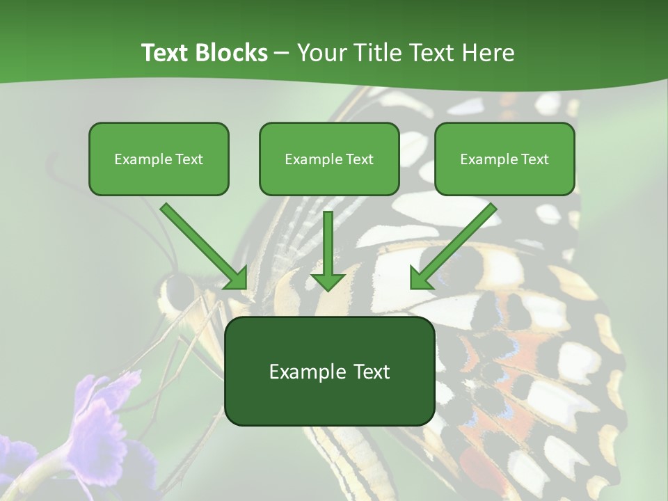 A Butterfly Sitting On Top Of A Purple Flower PowerPoint Template