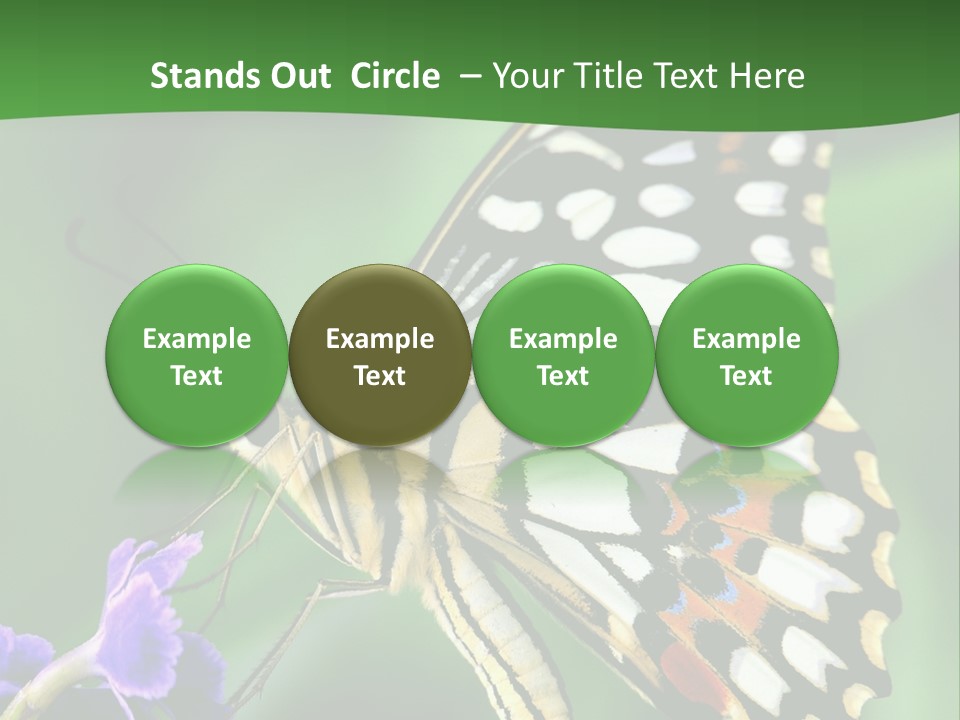 A Butterfly Sitting On Top Of A Purple Flower PowerPoint Template