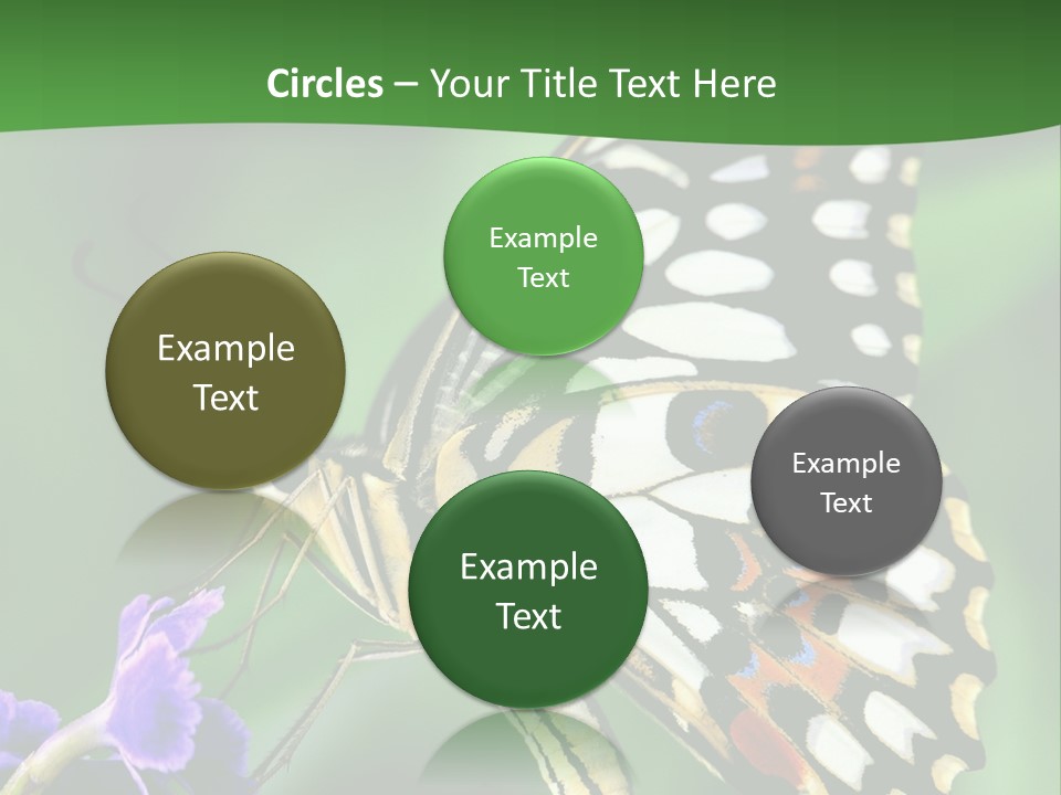 A Butterfly Sitting On Top Of A Purple Flower PowerPoint Template