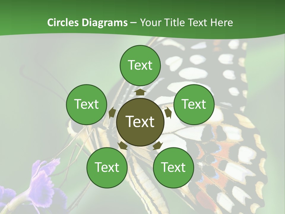 A Butterfly Sitting On Top Of A Purple Flower PowerPoint Template