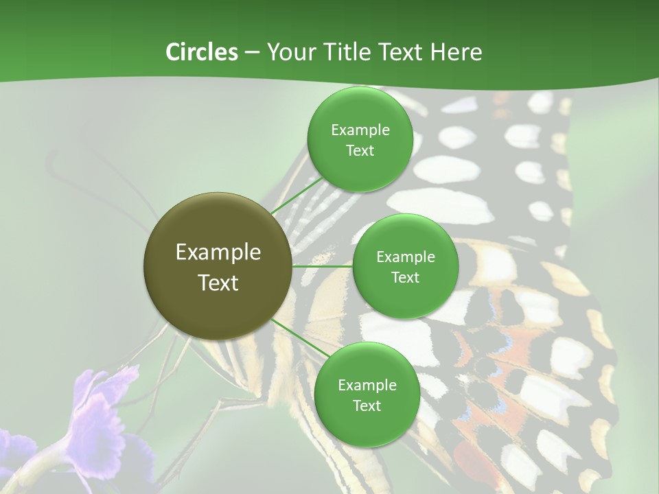A Butterfly Sitting On Top Of A Purple Flower PowerPoint Template