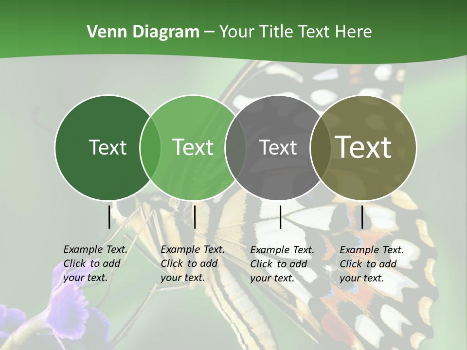 A Butterfly Sitting On Top Of A Purple Flower PowerPoint Template
