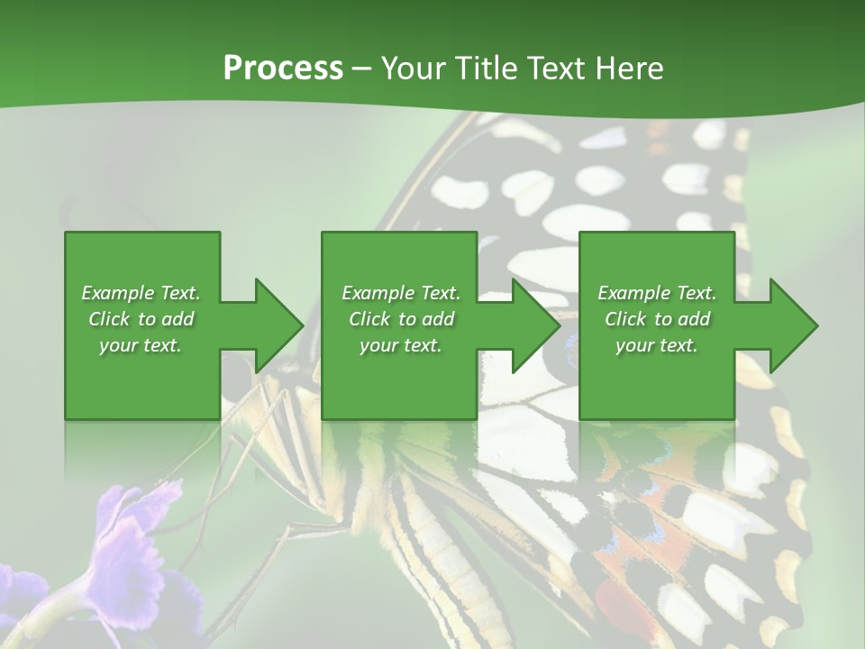 A Butterfly Sitting On Top Of A Purple Flower PowerPoint Template