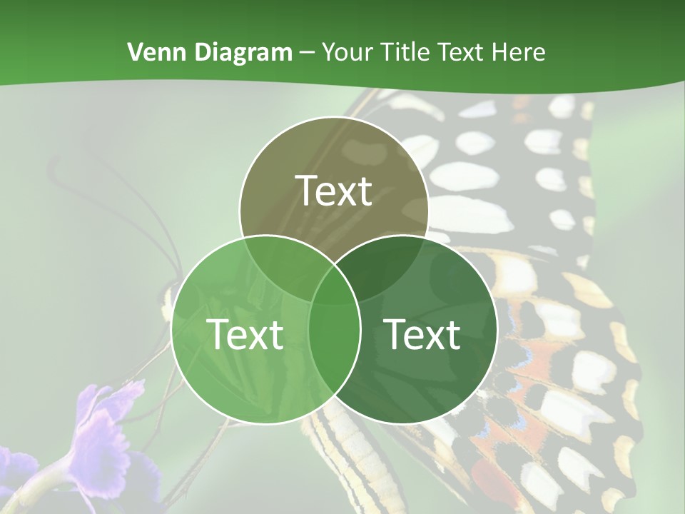 A Butterfly Sitting On Top Of A Purple Flower PowerPoint Template