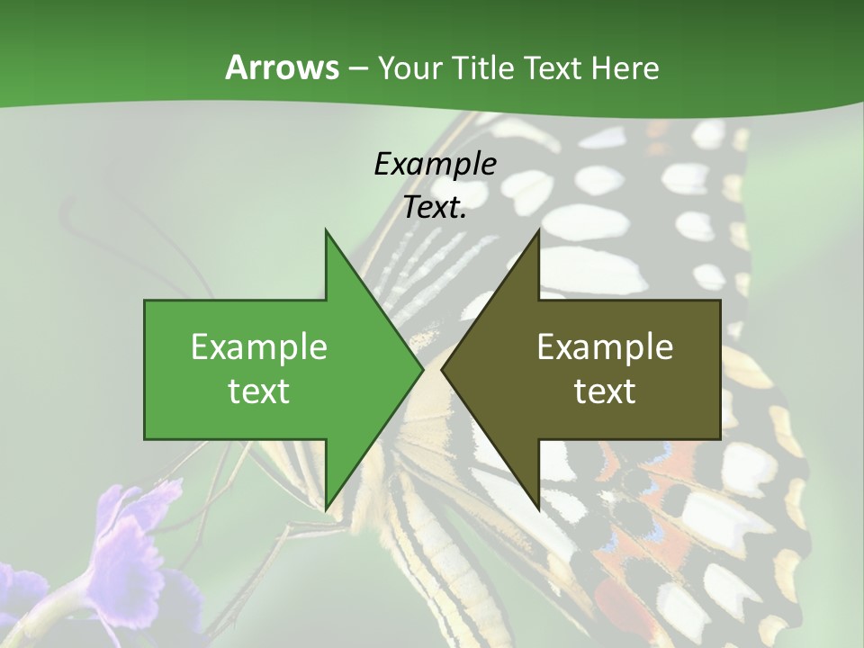 A Butterfly Sitting On Top Of A Purple Flower PowerPoint Template