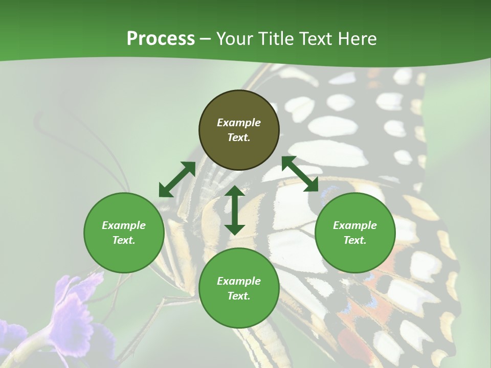 A Butterfly Sitting On Top Of A Purple Flower PowerPoint Template