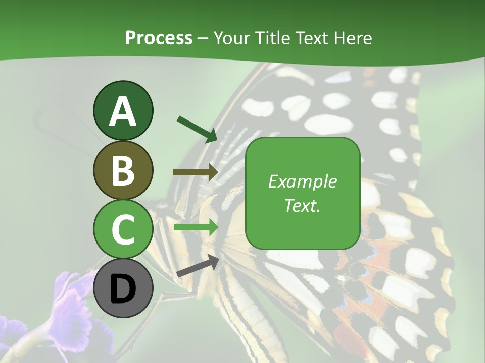 A Butterfly Sitting On Top Of A Purple Flower PowerPoint Template