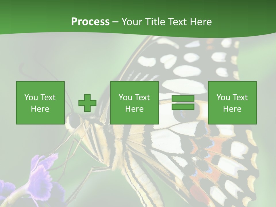 A Butterfly Sitting On Top Of A Purple Flower PowerPoint Template