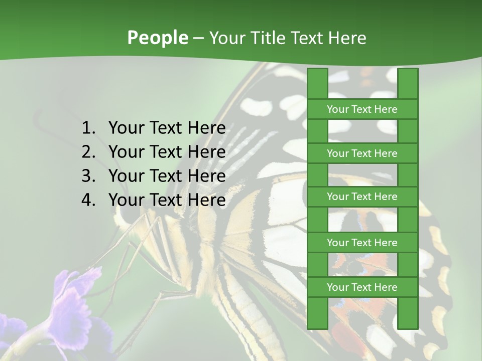 A Butterfly Sitting On Top Of A Purple Flower PowerPoint Template