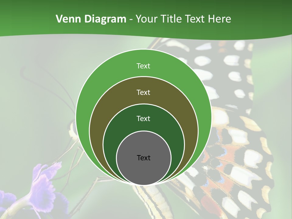 A Butterfly Sitting On Top Of A Purple Flower PowerPoint Template
