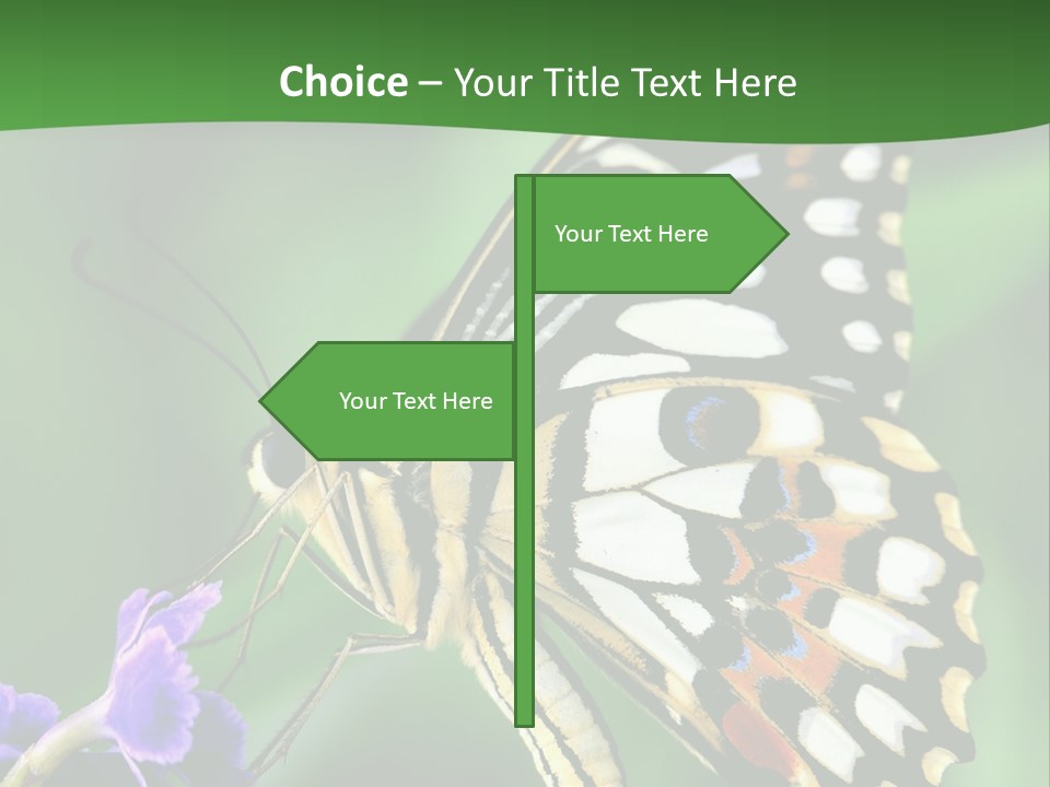 A Butterfly Sitting On Top Of A Purple Flower PowerPoint Template