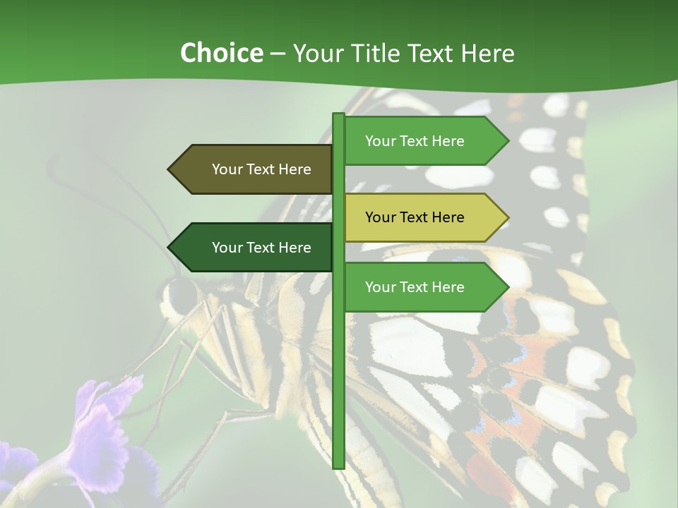 A Butterfly Sitting On Top Of A Purple Flower PowerPoint Template