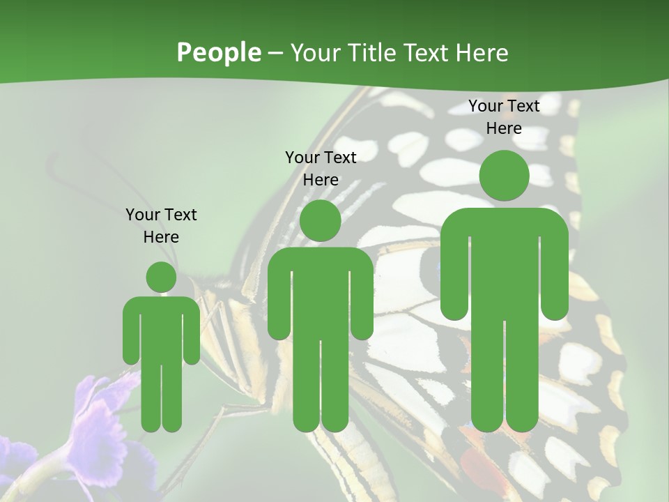 A Butterfly Sitting On Top Of A Purple Flower PowerPoint Template