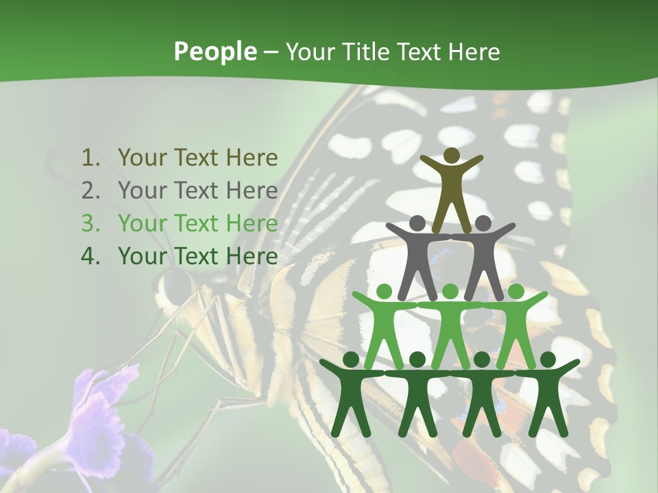 A Butterfly Sitting On Top Of A Purple Flower PowerPoint Template