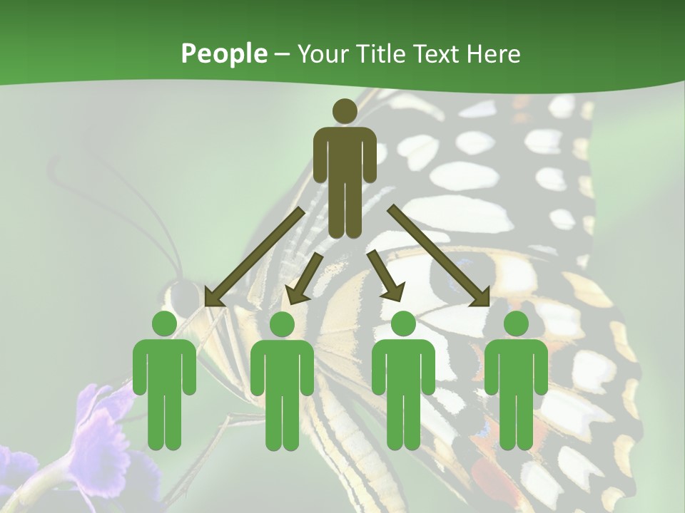 A Butterfly Sitting On Top Of A Purple Flower PowerPoint Template