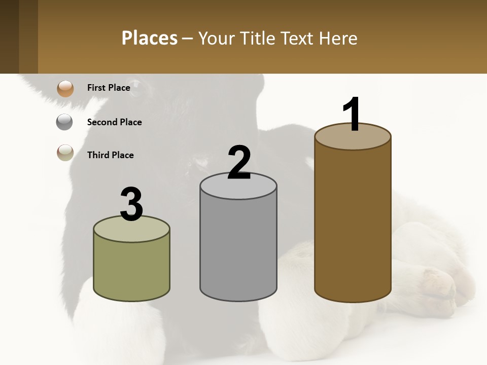 A Black And White Cow Laying Down On A White Background PowerPoint Template